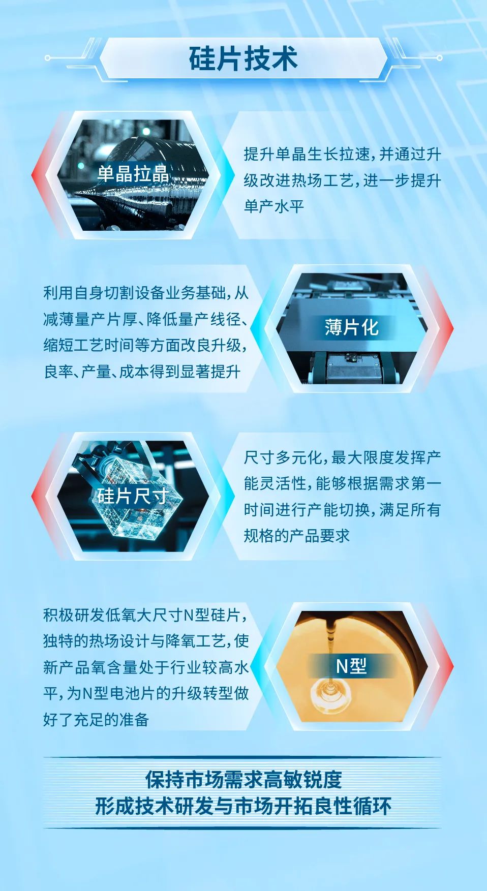 202304263615